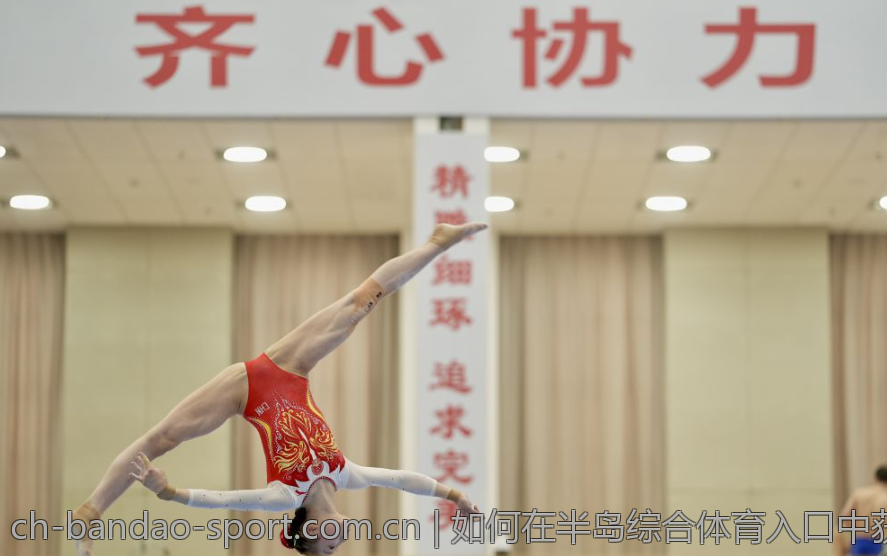 如何在半岛综合体育入口中获取收益