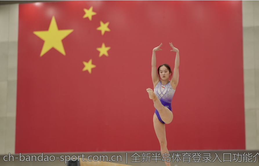 全新半岛体育登录入口功能介绍