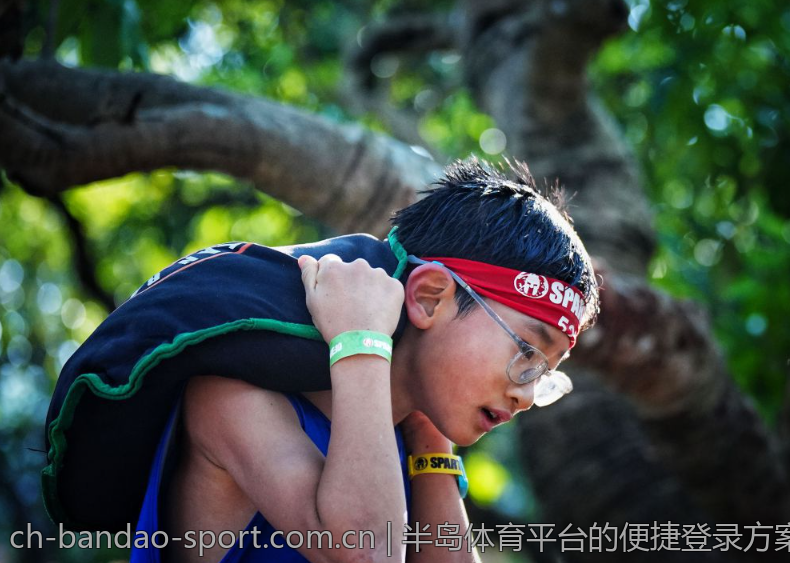 半岛体育平台的便捷登录方案